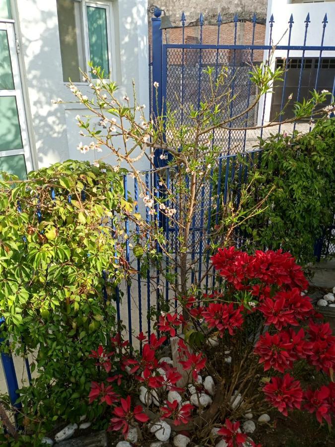 Milenio III B&B Queretaro Bagian luar foto
